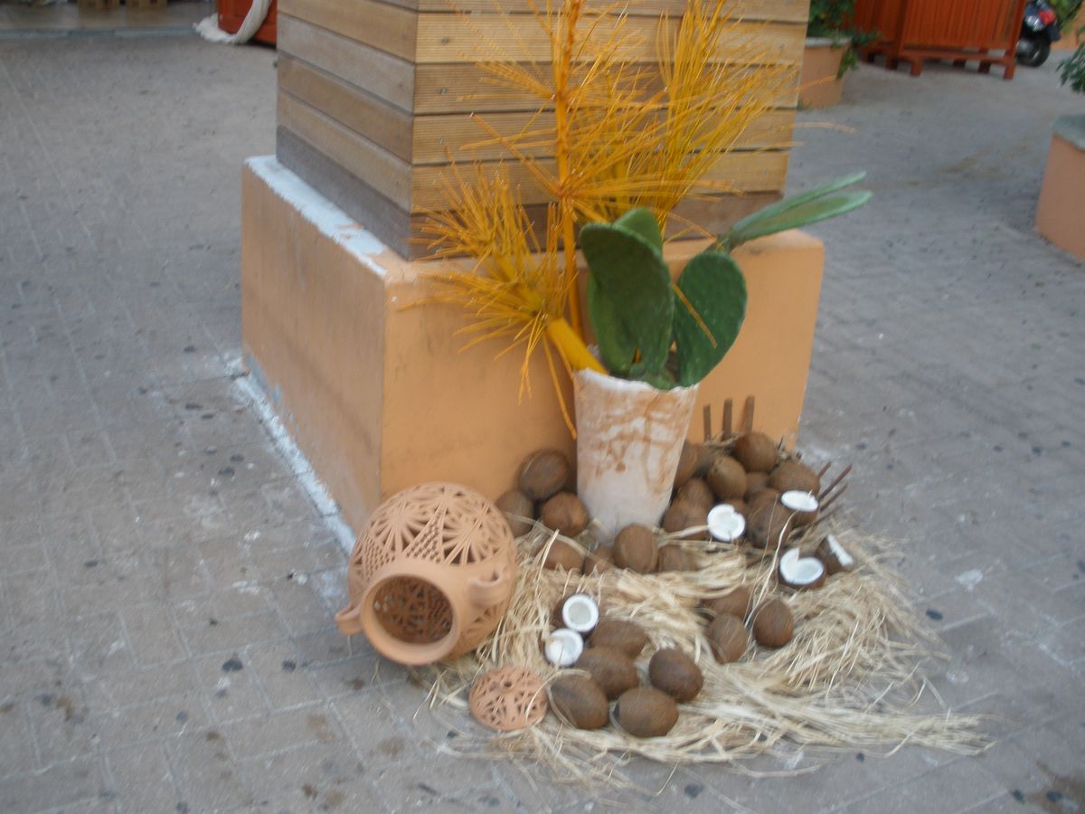 nantia_manolis_03.jpg